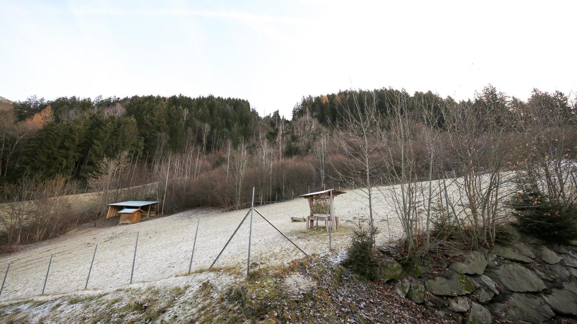 Hochfeldhof Apartment Цел ам Цилер Стая снимка